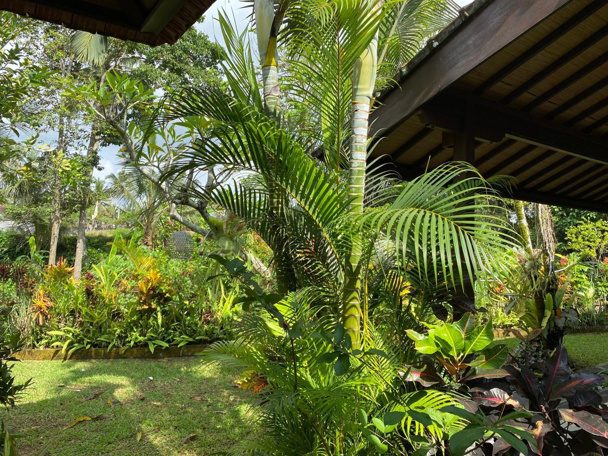 Villa Alam Surya Ubud Экстерьер фото
