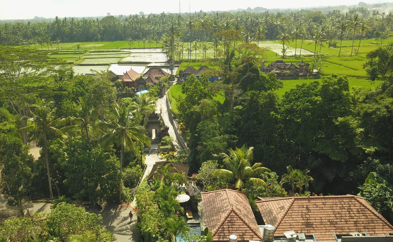 Villa Alam Surya Ubud Экстерьер фото
