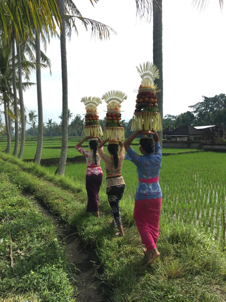Villa Alam Surya Ubud Экстерьер фото